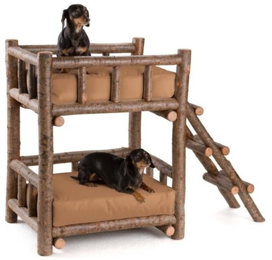 Seriously? How are these dogs even supposed to get up that ladder? I 